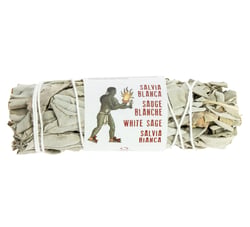Sauge blanche de Californie - 8-11 cm