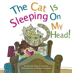 The Cat Is Sleeping On My Head