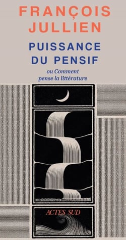 Puissance du pensif - ou comment pense la littérature