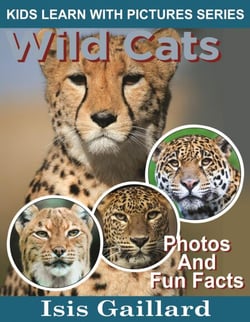 Wild Cats Photos and Fun Facts for Kids - Kids Learn With Pictures, #127