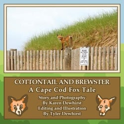 Cottontail and Brewster: A Cape Cod Fox Tale