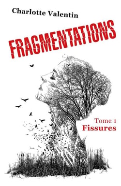 Fragmentations - Tome 1. Fissures