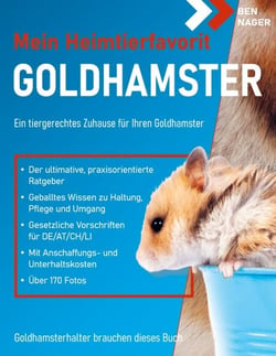 Goldhamster - Ein tiergerechtes Zuhause für Ihren Goldhamster