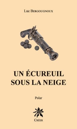 Un écureuil sous la neige - Polar