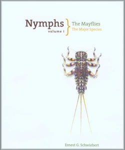 Nymphs, The Mayflies - The Major Species