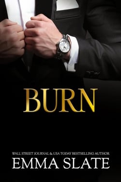 Burn - SINS Series, #6