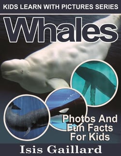 Whales Photos and Fun Facts for Kids - Kids Learn With Pictures, #82