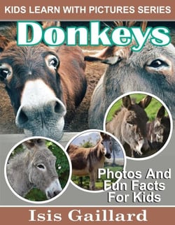 Donkeys Photos and Fun Facts for Kids - Kids Learn With Pictures, #94