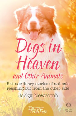 Dogs in Heaven: and Other Animals - Extraordinary stories of animals reaching out from the other side