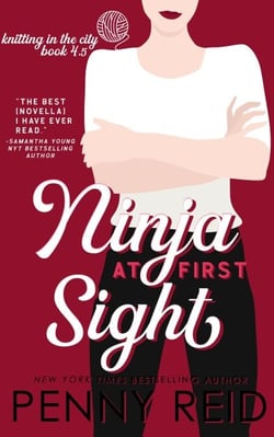 Ninja At First Sight:  A First Love Romance - Knitting in the City, #6