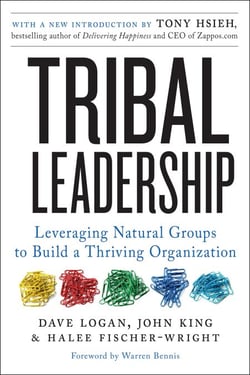 Tribal Leadership Revised Edition - Leveraging Natural Groups to Build a Thriving Organization