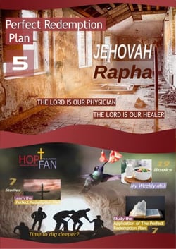 Perfect Redemption Plan 5 - Perfect Redemption Plan, #5