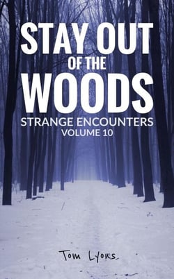 Stay Out of the Woods: Strange Encounters, Volume 10 - Stay Out of the Woods, #10