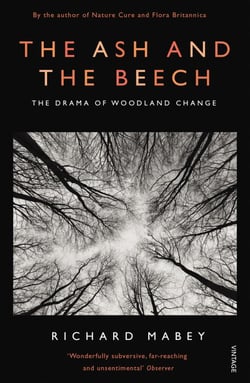 The Ash and The Beech - The Drama of Woodland Change