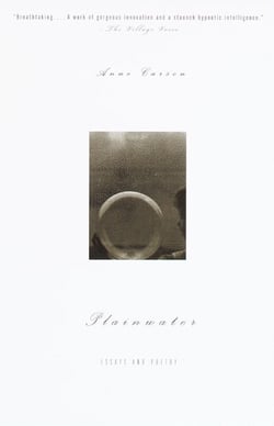 Plainwater - Essays and Poetry