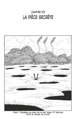One Piece édition originale - Chapitre 315 - La pièce secrète