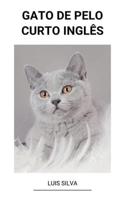 Gato de Pelo Curto Inglês