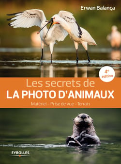 Les secrets de la photo d'animaux - Matériel - Prise de vue - Terrain