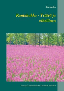Rantakukka - Ystävä ja vihollinen - Euroopan kaunottaresta Amerikan hirviöksi