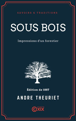 Sous bois - Impressions d'un forestier