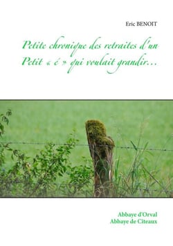 Petite chronique des retraites d'un Petit « é » qui voulait grandir... - Une balade chronologique dont les méandres font résonner chaque instant : retours vers le passé, réflexions existentielles, blessures et joie de vivre...