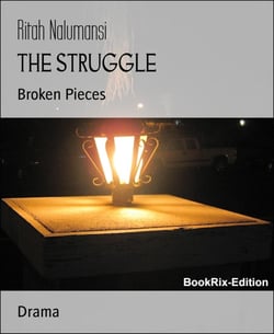 THE STRUGGLE - Broken Pieces