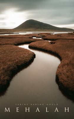 Mehalah - Gothic Novel (A Story of the Salt Marshes)