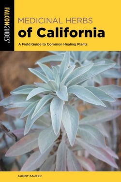 Medicinal Herbs of California - A Field Guide to Common Healing Plants