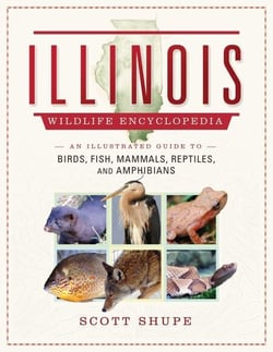 The Illinois Wildlife Encyclopedia - An Illustrated Guide to Birds, Fish, Mammals, Reptiles, and Amphibians