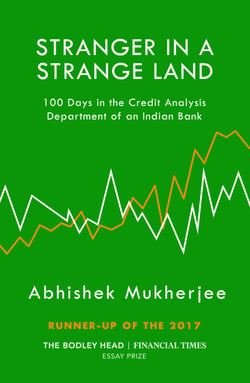 Stranger in a Strange Land - 100 Days in the Credit Analysis Department of an Indian Bank