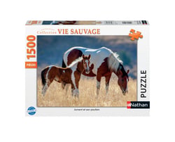 Puzzle N 1500 pièces - Jument et son poulain