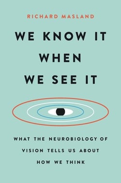 We Know It When We See It - What the Neurobiology of Vision Tells Us About How We Think