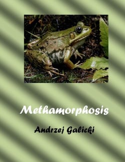 Metamorphosis