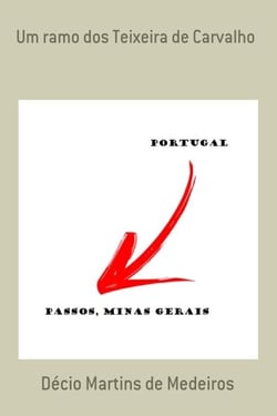 Um ramo dos Teixeira de Carvalho - Genealogia