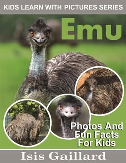 Emu Photos and Fun Facts for Kids - Kids Learn With Pictures, #98