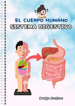 Sistema Digestivo - Cuerpo Humano, #1