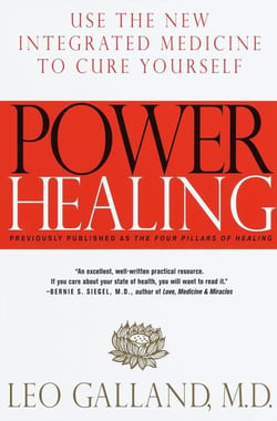 Power Healing - Use the New Integrated Medicine to Cure Yourself