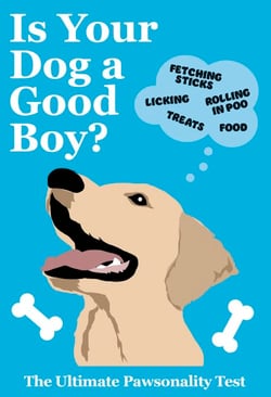 Is Your Dog A Good Boy? - The Ultimate Pawsonality Test