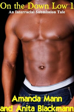 On the Down Low 1: An Interracial Submission Tale - On the Down Low, #1