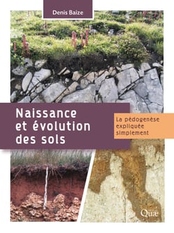 Naissance et évolution des sols - La pédogenèse expliquée simplement