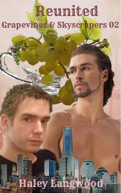 Grapevines &amp; Skyscrapers Book Two Reunited - Grapevines &amp; Skyscrapers   Book One   Julian, #2