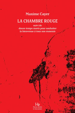 La chambre rouge - Suivi de Douze temps morts pour souhaiter la bienvenue à tous nos ennemis