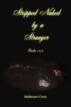 Stripped Naked by a Stranger Books 1 to 6 - Stripped Naked by a Stranger, #7