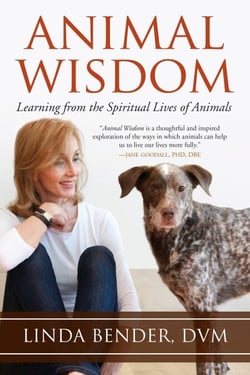 Animal Wisdom - Learning from the Spiritual Lives of Animals