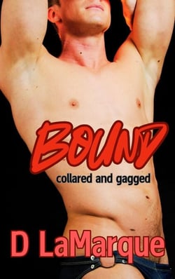 Bound, Collared and Gagged - Club Kink - MM BDSM rope bondage ds submissive gay erotica, #1