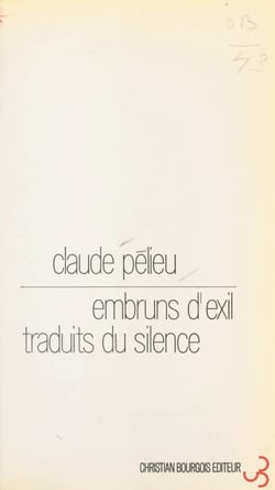 Journal américain (2) - Embruns d'exil traduits du silence