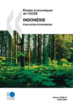 Études économiques de l'OCDE : Indonésie 2008 - Évaluation économique