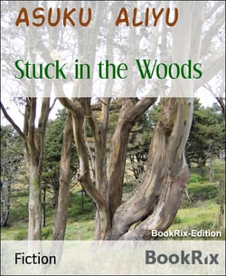 Stuck in the Woods