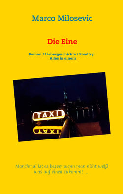 Die Eine - Roman / Liebesgeschichte / Roadtrip  Alles in einem