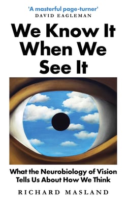 We Know It When We See It - What the Neurobiology of Vision Tells Us About How We Think